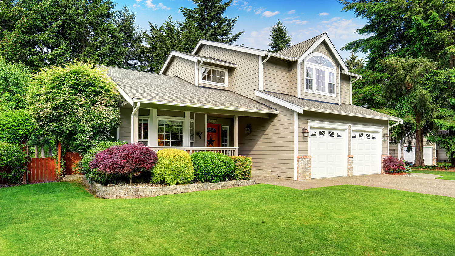 home surrounded by lush trees